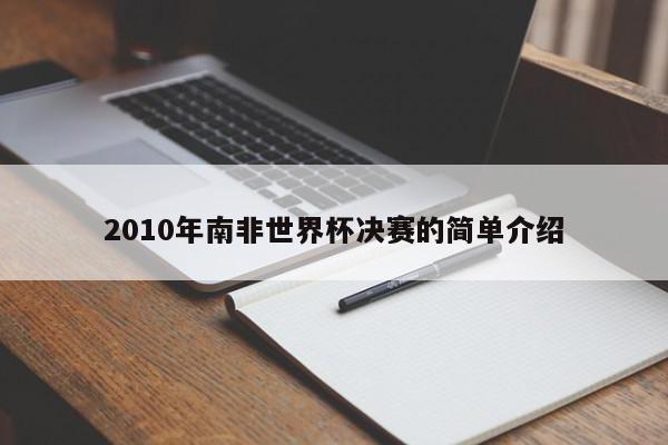 2010年南非世界杯决赛的简单介绍